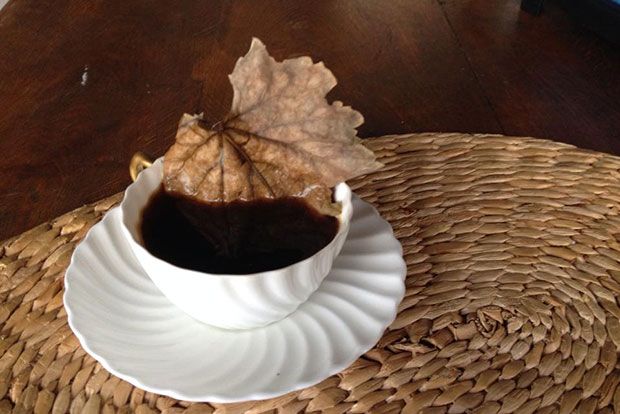 Έρωτας και διεκδίκηση στη φύση