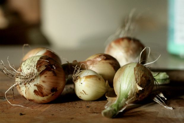 Ήρθε ο καιρός των κρεμμυδιών