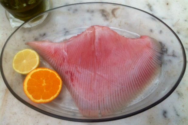 Σελάχι, το άγνωστο