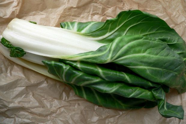 Σέσκουλα ογκρατέν εκ Προβηγκίας