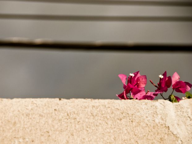 Ίσως είμαστε περισσότεροι