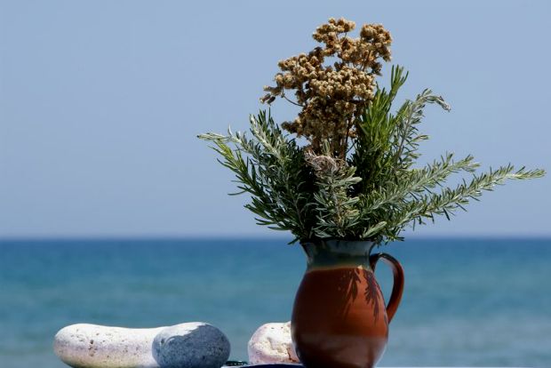 Σώστε τα βότανα της Κρήτης