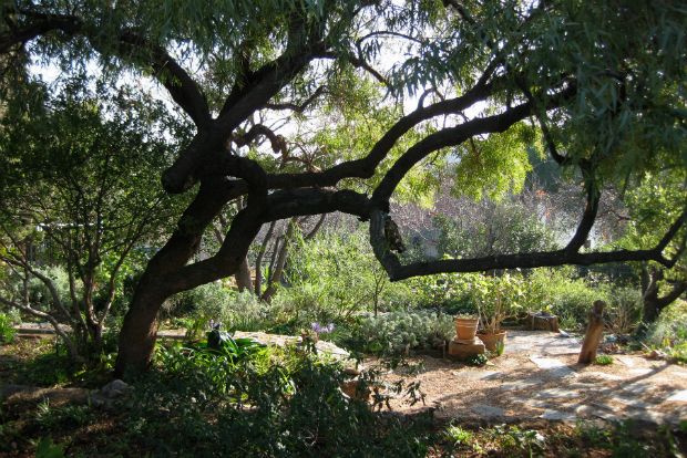 Σπάροζα: παράδεισος δίπλα στην πόλη