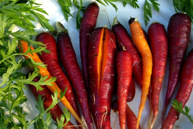 Σπέρνεις καρότα;