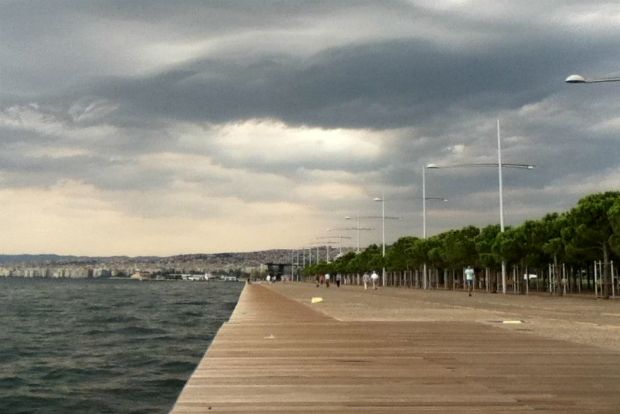 Στα νούφαρα και τις καλαμιές