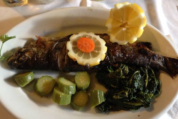 Στον Γαύρο για πέστροφα