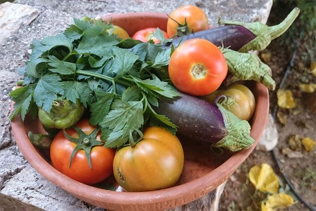 Στρόμπολι με ζαρζαβατικά