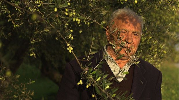 Τα 3 λ: λουκουμάδες, πρωτόλαδο, Ηλεία