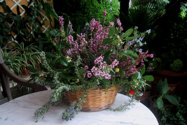 Τα δώρα του λόγγου για όλες τις αισθήσεις