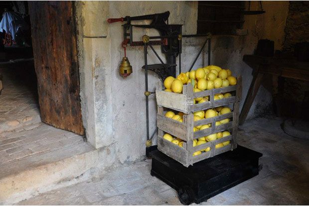 Τα κίτρινα παιδιά μου