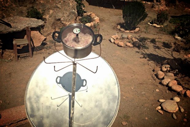 Τα κρητικά: απάκι από δoρυφόρο!