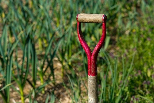 Τα μικρά αληθινά success stories