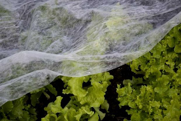 Τα μποστανίσια καθήκοντα του Μάρτη