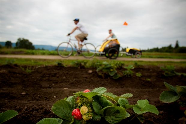 Τα παιδιά πάνω στον κάμπο