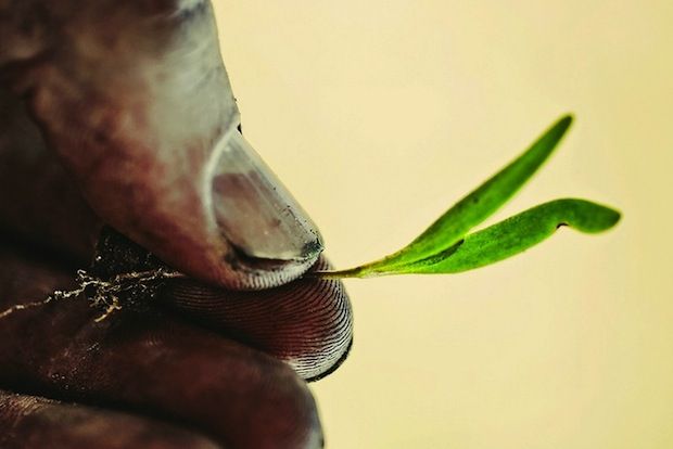 Τα πέντε αστέρια μας