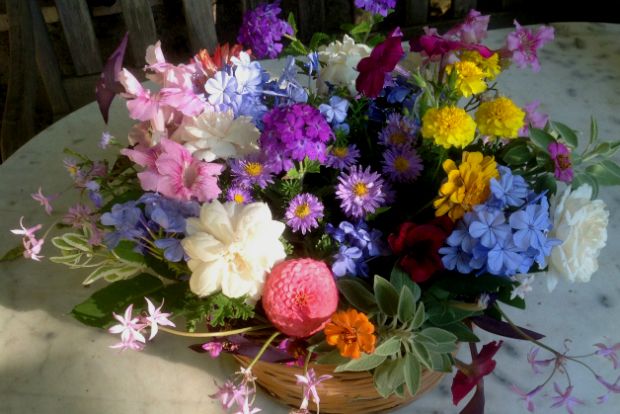 Τα θαύματα ξεπηδάνε στον κήπο, τον Οκτώβριο