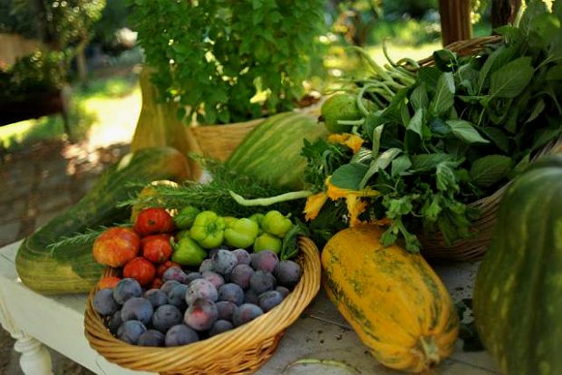 Ήταν υδραυλικός, μαθαίνει αγρότης
