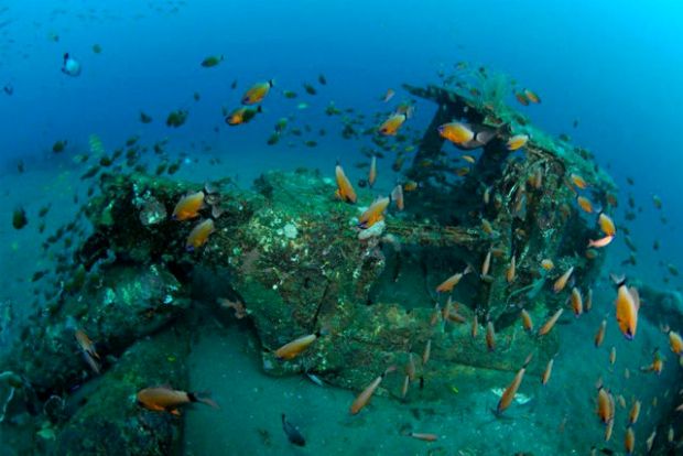 Τεχνητοί ύφαλοι: η λύση για την αλιεία