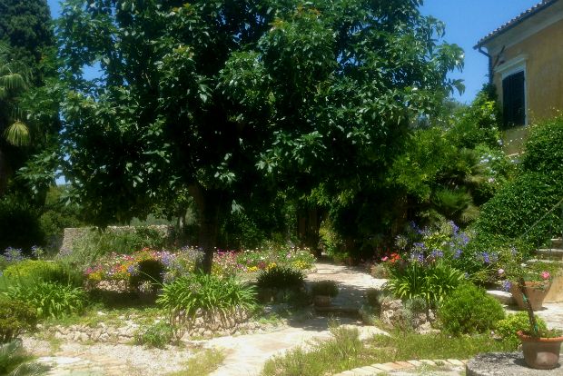 Τέλος Ιουλίου: εκπλήξεις στον κήπο