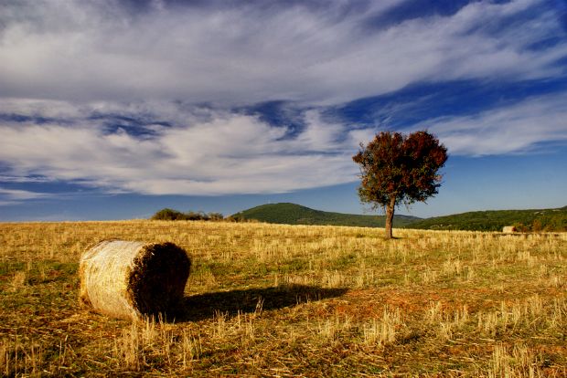 Θα δώσει η Εκκλησία βοσκοτόπια;