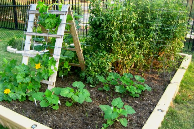 Θες να γίνεις ΠερΚα;