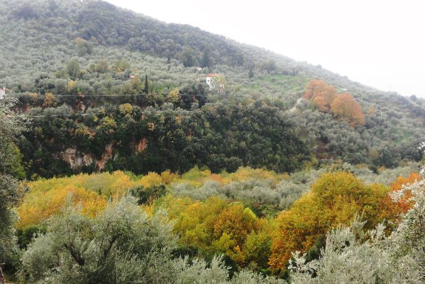 Τι είδε ο Αμερικάνος;