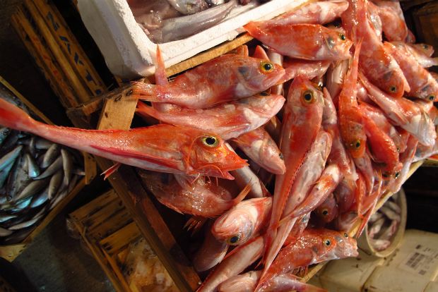 Τι ψάρια πιάνουμε τώρα;