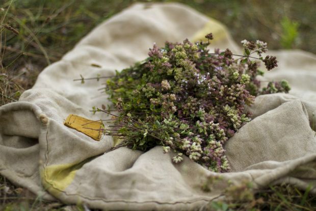 Τι θέλουν οι ξένοι;