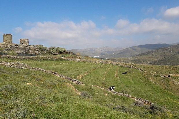 Tinos Food Paths 2019