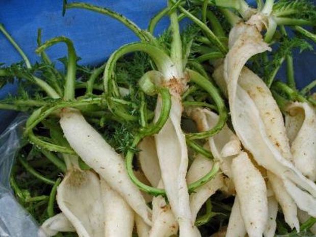 Το Αγκάθι από την Κρήτη ταξίδεψε στην Καλιφόρνια!