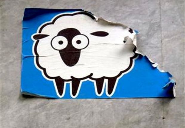 Το αγόρι μου και μία προβατίνα