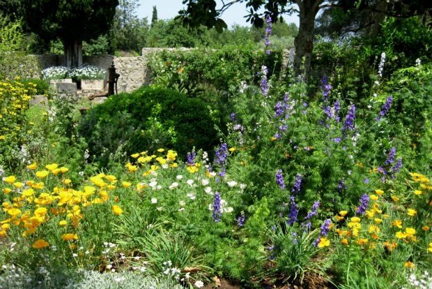 Το χαϊδεμένο παρτέρι