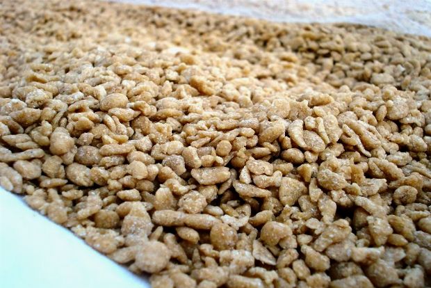 Το κατσικάκι του δασκάλου μου