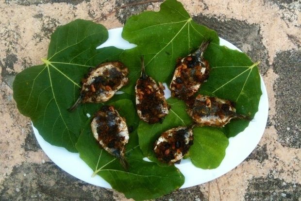 Το κλαμπ σάντουιτς των συκοφάγων