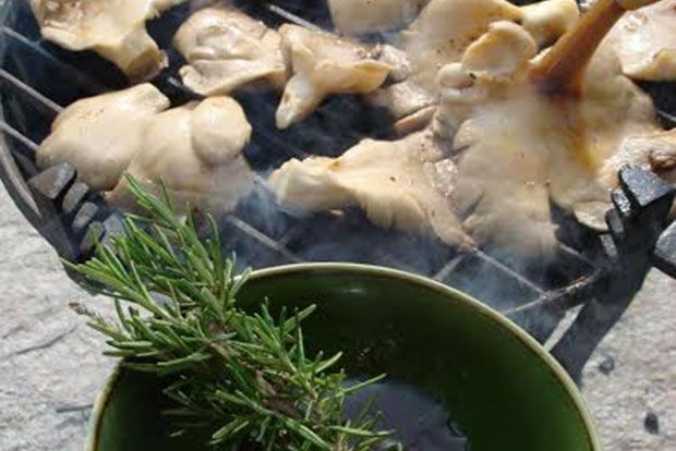 Το κρέας των χορτοφάγων