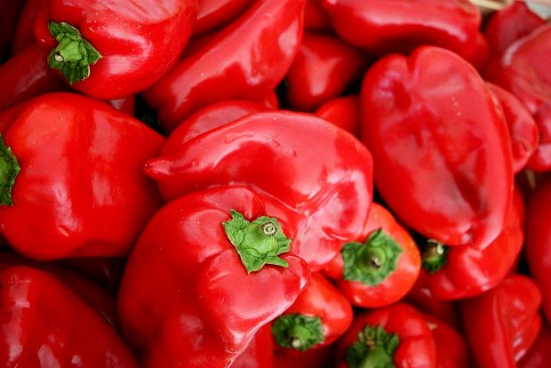 Το κρυφό μυστικό: άιβαρ