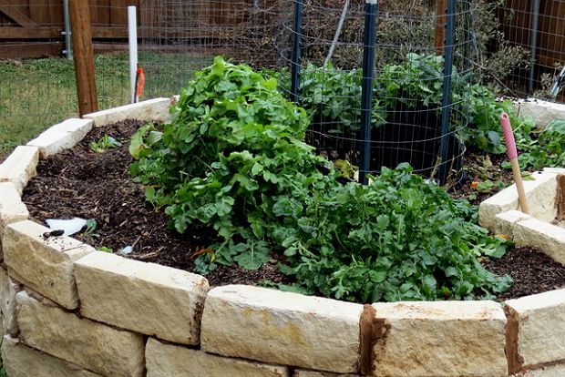 Το μποστάνι – κλειδαρότρυπα