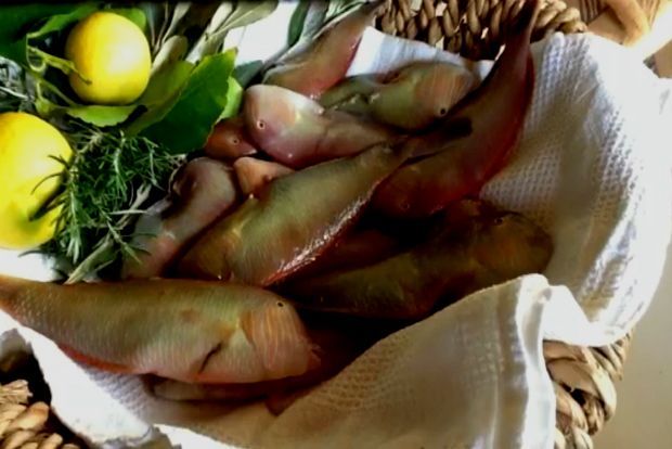 Το μυστικό είναι στη σήτα