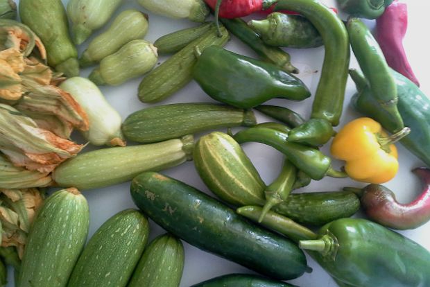 Το ξεμποστάνιασμα συνεχίζεται: μπατζίνα αλλιώς