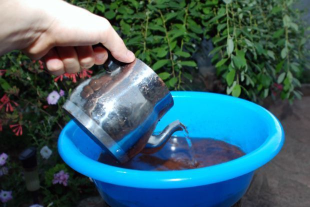 Τώρα φρεσκάρω τα εργαλεία του κήπου