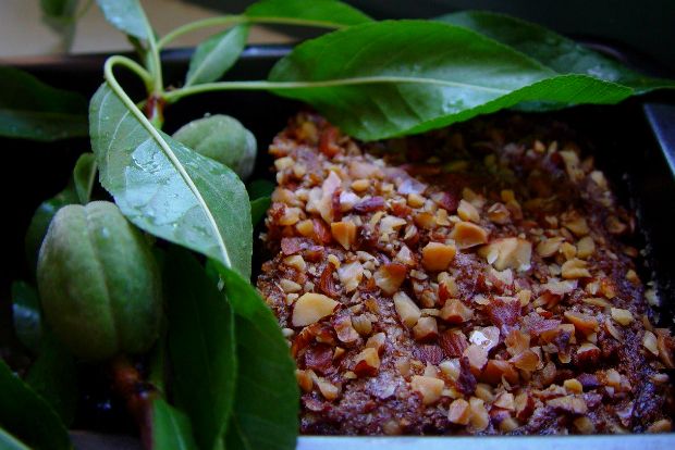 Του γιαουρτιού το ρεβανί