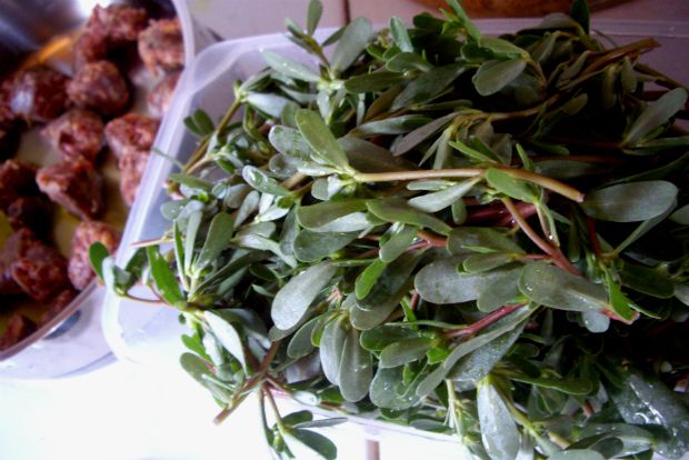 Τρεβλοφάι πηλιορείτικο