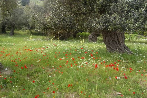 Τρώγεται η άνοιξη;