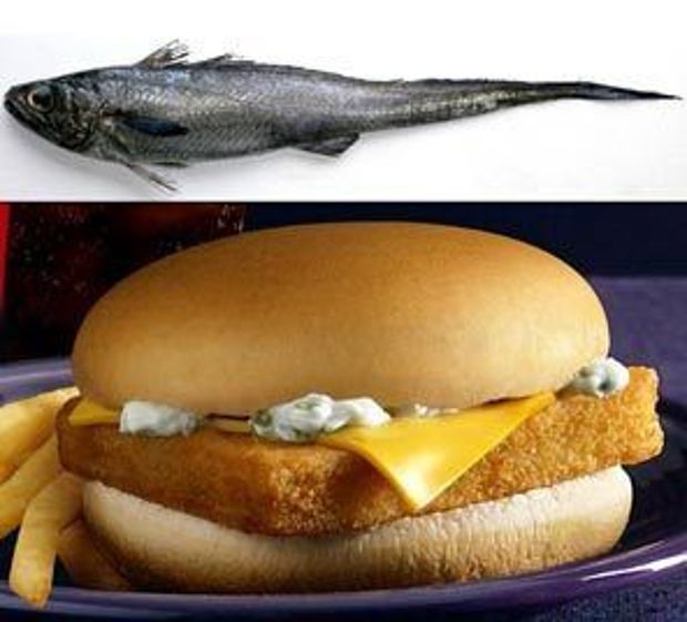 Τρώγονται τα πιο διαβασμένα!