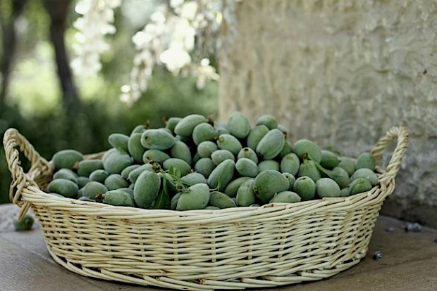 Τσάγαλα γλυκο-καυτερά