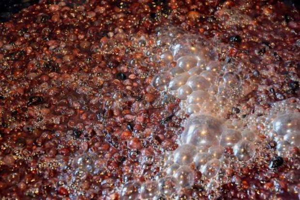 Τσίπουρο: με ή άνευ;