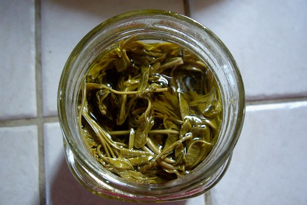 Τσιτσίραβλα για την πηλιορείτικη ντοματοσαλάτα