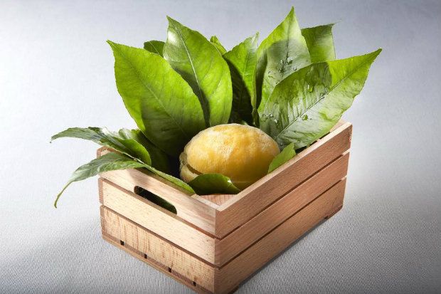 Βάλε το λεμόνι στην κατάψυξη