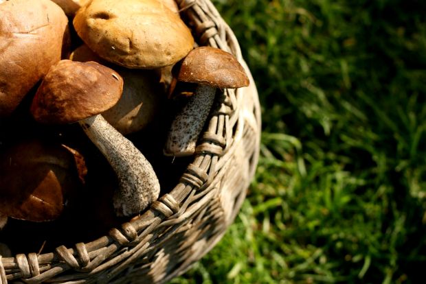 Ξεκίνησαν οι γιορτές του φθινοπώρου