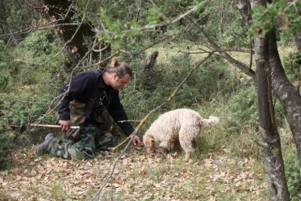 Ξεκίνησε το «κυνήγι» τρούφας στην Καλαμπάκα